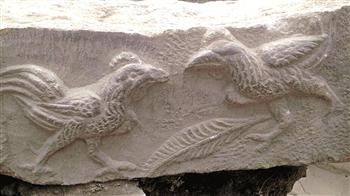 Laodicea excavations roosters